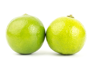 Lime