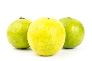 Lime