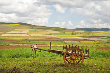 Rural cart near colorful field in Burma (Myanmar)