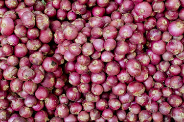 A lot of Thai shallot separated for background