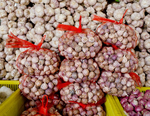 Lots of white purple Italian garlic bulbs on display for sale at