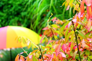 spaziergang im herbst