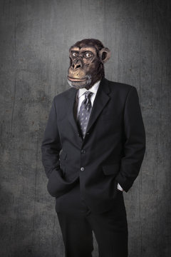 Monkey businessman
