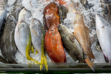 variety of fresh fish seafood in market closeup background