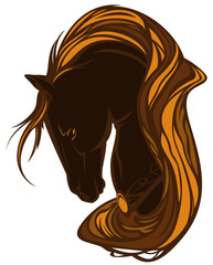 horse head with long mane