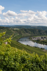 Mosel