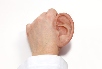 Fototapeta premium Colored Silicone Made Artificial Ear.