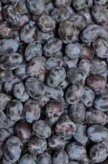 Fruit plums background