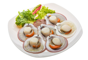 Raw fresh scallop