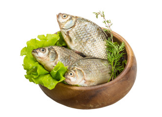 Crucian fish
