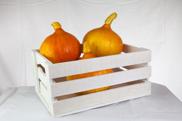 Pumpkins on a table