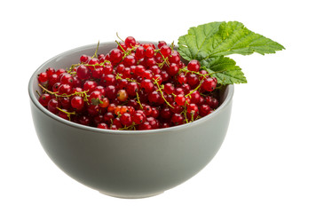 Red currant