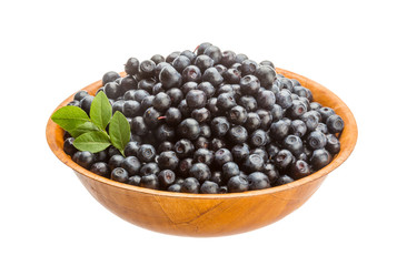 Blueberry