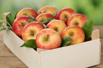 Äpfel in Kiste im Herbst