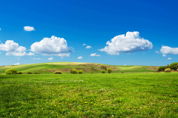 green field background