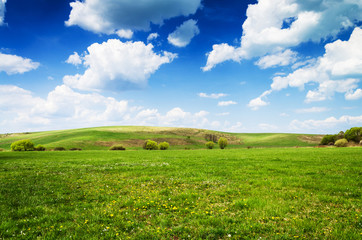 green field background