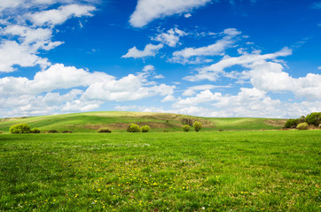 green field background