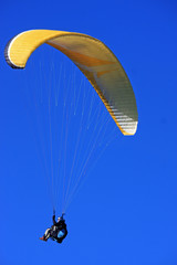 paraglider