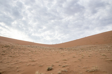 Fototapeta na wymiar Deserto del namib