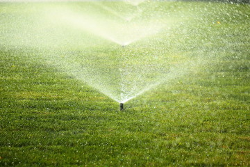 garden sprinkler on the green lawn