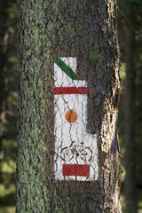 Poland, Gorce Mountains, trail blazing marks