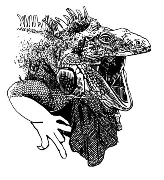 unusual original artwork of iguana lizard with mouth open