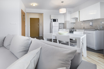 Open space, modern interior design kitchen