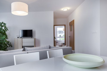 Fototapeta na wymiar Modern living room in scandinavian style