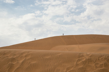 Deserto del namib