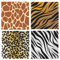 WIld african animals pattern set vector