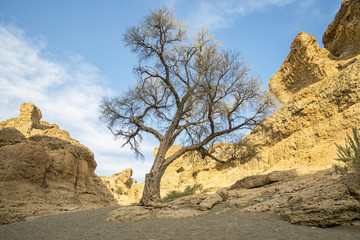 Sesriem canyon