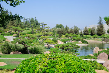 Beautiful view of Japanese Garden