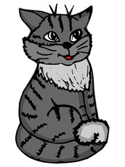 hand drawn illustration of a cat