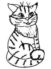 hand drawn illustration of a cat doodle