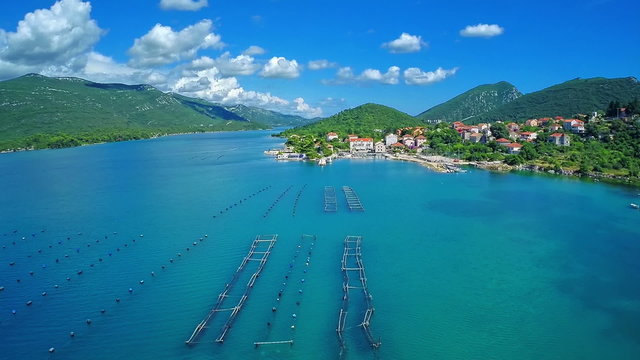Growing mussels and oysters in the Mali Ston Bay