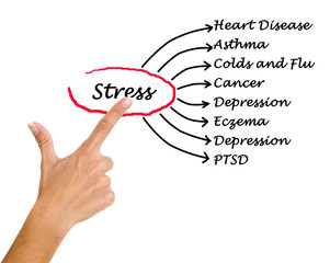 Stress consequences