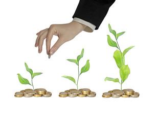Progress of green business