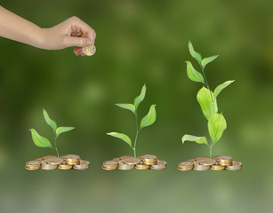 Progress of green business