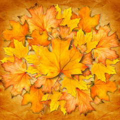 Grunge paper design in scrapbooking style with photoframe and au