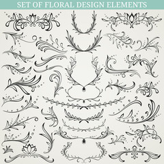 Collection of floral design elements. Vector illustration.