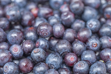 Wild blueberries