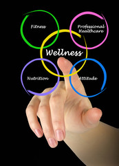 Diagram of wellness