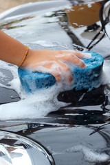 blue sponge  the car for washing