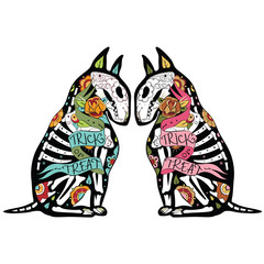 Colorfull Bullterriers
