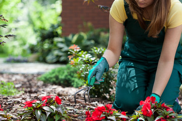 Woman working in garden