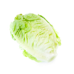 Green Iceberg lettuce on White Background