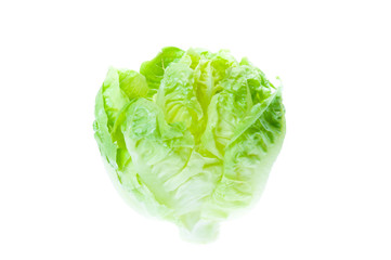 Green Iceberg lettuce on White Background