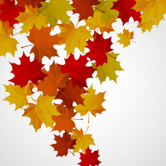 Abstract background with autumn colorful leaves.