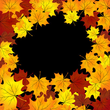 autumn background with maples leaves.