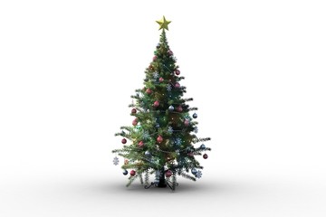 Christmas tree on white background